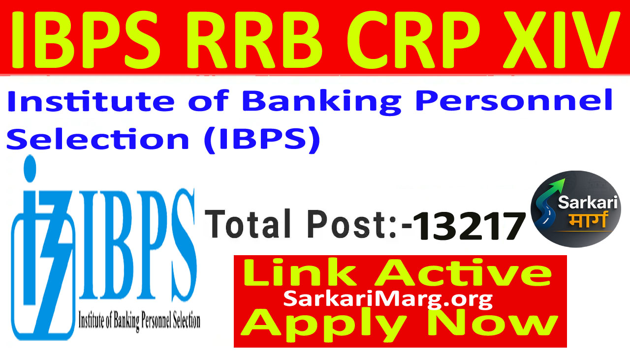 IBPS CRP RRB XIV 2025